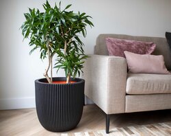 Capi Europe bloempot bol groove nl zwart h41xb43 Ø37 cm - afbeelding 2