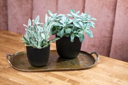 Capi Europe bloempot bol groove textiel zwart H15xB17  Ø15 cm - afbeelding 2