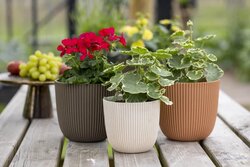 Capi Europe bloempot bol groove warm taupe H23xB25 Ø24cm - afbeelding 2