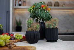 Capi Europe bloempot bol Groove zwart h6xb8 Ø6 cm - afbeelding 2