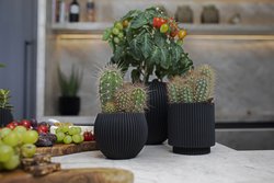 Capi Europe bloempot bol Groove zwart h6xb8 Ø6 cm - afbeelding 3
