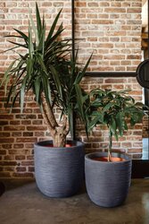 Capi Europe bloempot bol Rib NL antraciet h41xb43 Ø 38 cm - afbeelding 4