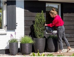 Capi Europe bloempot bol Rib NL zwart h34xb35 Ø 30 cm - afbeelding 3