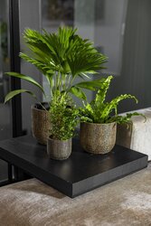 Capi Europe bloempot bol skin goud h15xb17 Ø15,5 cm - afbeelding 2