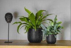 Capi Europe bloempot bol skin zwart h15xb17 Ø15,5 cm - afbeelding 2