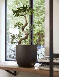 Capi Europe bloemPot bol Smooth NL zwart h41xb43 Ø 38 cm - afbeelding 2