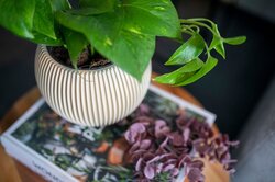 Capi Europe Vaas bol groove colours beige h26xb29 Ø21,5 cm - afbeelding 2