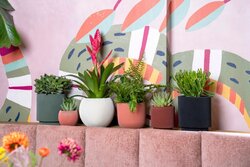 Capi Europe Vaas bol groove colours beige h26xb29 Ø21,5 cm - afbeelding 3