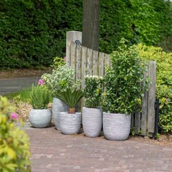 Capi Europe Vaas bol Rib NL ivoor h32xb40 Ø 24-25 cm - afbeelding 4