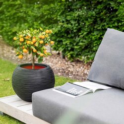 Capi Europe Vaas bol Rib NL zwart h48xb62 Ø 40-42 cm - afbeelding 2