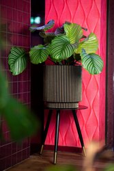 Capi Europe vaas cilinder groove nl antraciet h38xb35 Ø29-30 cm - afbeelding 2