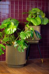 Capi Europe vaas cilinder groove nl goud h38xb35 Ø29-30 cm - afbeelding 2