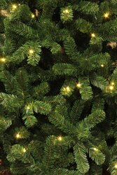 Black Box Trees Charlton kerstboom led groen 160L TIPS 220 - h120xd76cm - afbeelding 1
