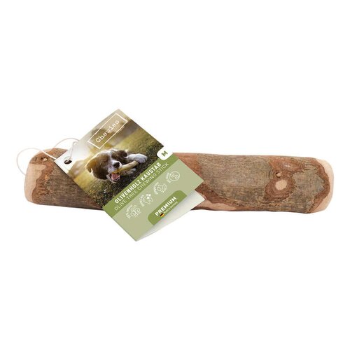 Chewies Olijfhout kauwstok m 1st