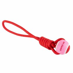 Coockoo Trekspeeltje swing me rood/roze