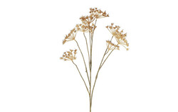 Countryfield Anthriscussteel 10x20x76cm beige