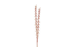 Countryfield Bessentak scrofularia 3x8x106cm ornj