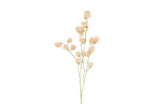 Countryfield Bloem abutilon 11x22x104cm gd