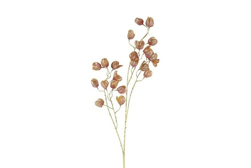 Countryfield Bloem abutilon 11x22x104cm gd