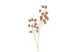 Countryfield Bloem abutilon 11x22x104cm gd