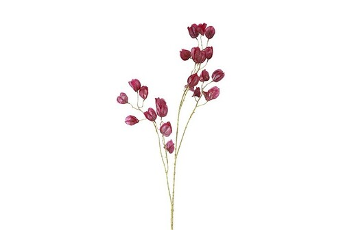 Countryfield Bloem abutilon 11x22x104cm prs