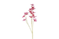 Countryfield Bloem cornus 13x23x114cm prs