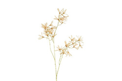 Countryfield Bloem forsythia 12x20x105cm gd