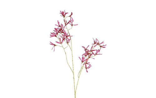 Countryfield Bloem forsythia 12x20x105cm prs