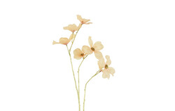 Countryfield Cornussteel 11x19x86cm goud