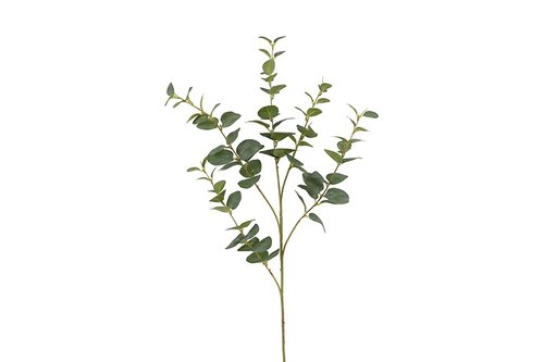Countryfield eucalyptus cin 94x15x15 grn