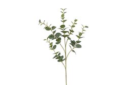 Countryfield eucalyptus cin 94x15x15 grn
