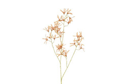 Countryfield Forsythiasteel 12x20x105cm d.roze
