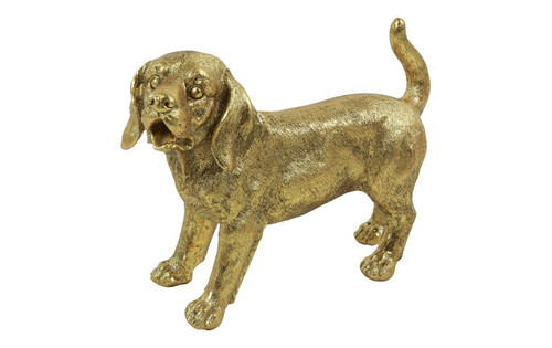 Countryfield Hond brutis 249x17x17cm gd