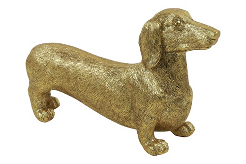 Countryfield Hond brutis kunststof 22x7x13cm gd