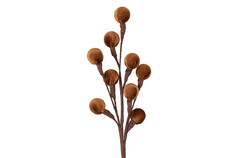 Countryfield Steker christmas balls 15x45cm bruin