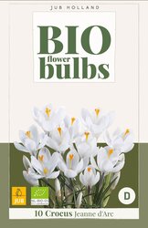 Crocus jeanne darc bio 10st - afbeelding 1