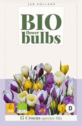 Crocus sp. mix 15st - afbeelding 2