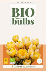 Crocus sp. romance bio 15st - afbeelding 2