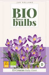 Crocus sp. ruby giant bio 15st - afbeelding 2
