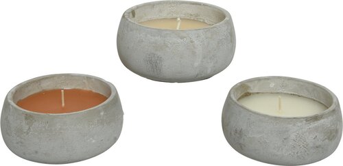 Decoris citronella in cement pot Ø13xH6 cm 3 assorti - afbeelding 1