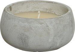 Decoris citronella in cement pot Ø13xH6 cm 3 assorti - afbeelding 4