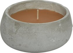 Decoris citronella in cement pot Ø13xH6 cm 3 assorti - afbeelding 3