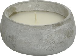 Decoris citronella in cement pot Ø13xH6 cm 3 assorti - afbeelding 5