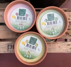 Decoris citronella wax Ø18xH8,5cm 3 assorti