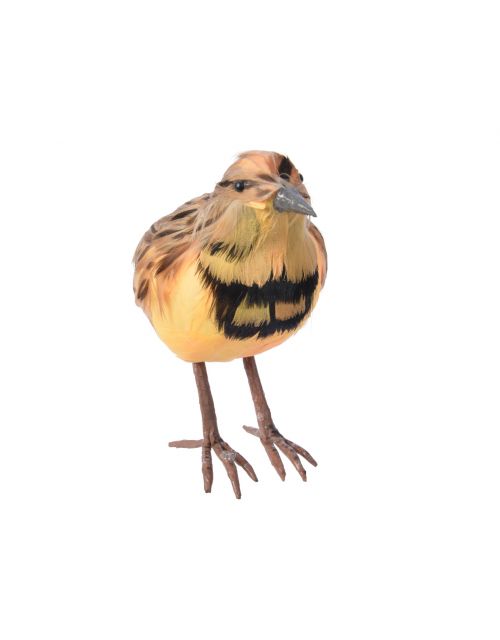 Decoris feather Montana state bird yellow/colour(s)