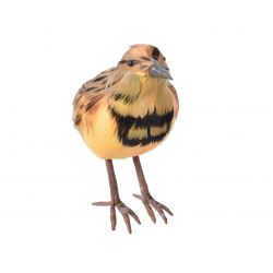 Decoris feather Montana state bird yellow/colour(s)