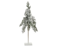 Everlands Flurry fir mini boom frosted binnen fsc mix 100%