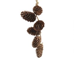 Decoris Hanger dennenappel