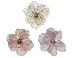 Everlands  Papaver op clip polyester 3col ass