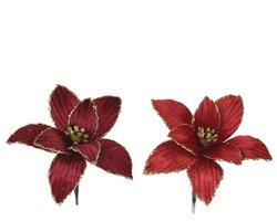 Everlands Poinsettia op clip polyester fluweel on clip 2col ass